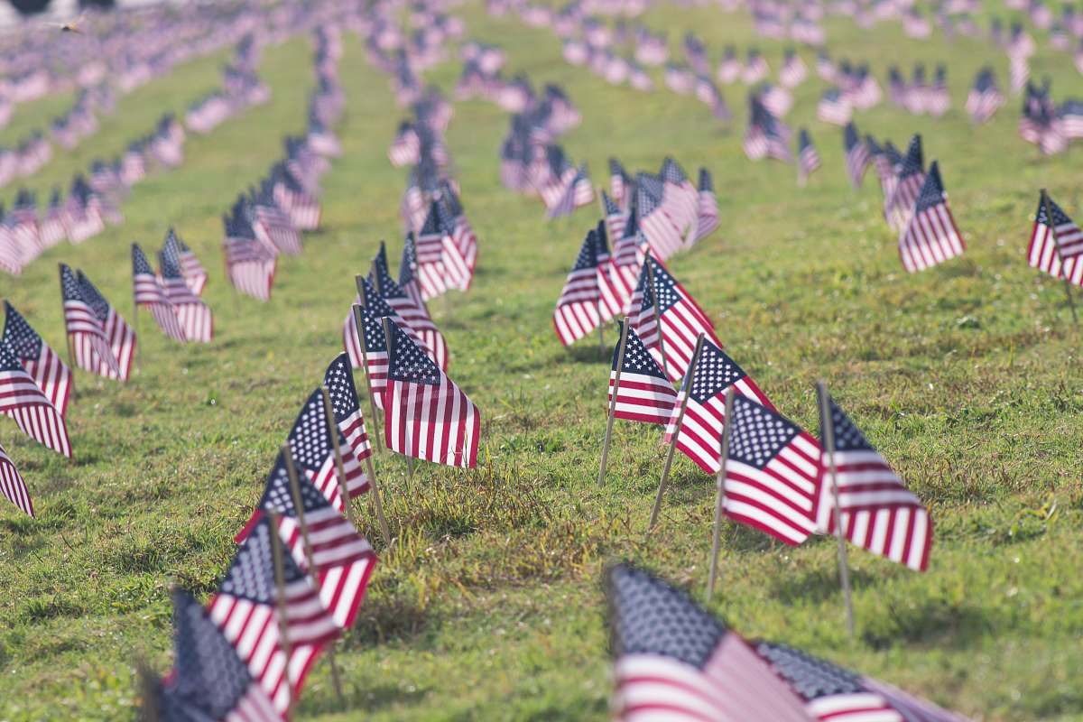 flag selective focus photography of USA flaglets planted on ground american flag